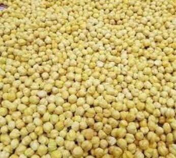 ROSTED CHANA